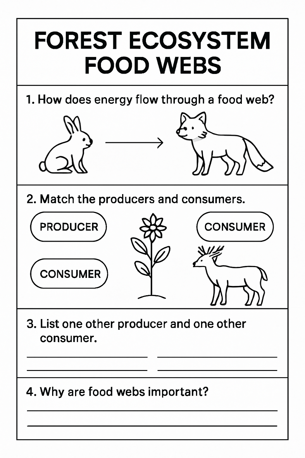 Generated worksheet preview page covering a forest ecosystem food web